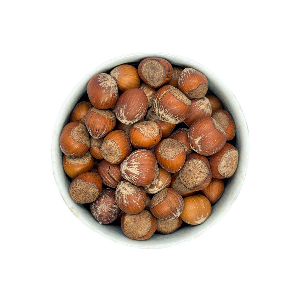 Hazelnut With Its Shell